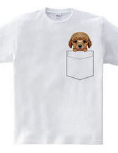 PocketDog Toy Poodle