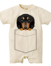 PocketDog Dachshund