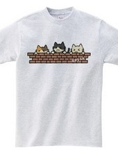 3CATS (Brick)