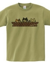 3CATS (Brick)