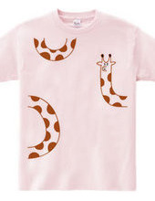 One giraffe