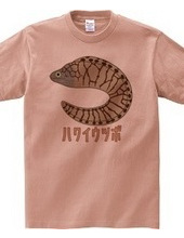 Y-patterned Moray