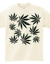 Cannabis2