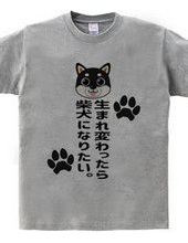 生まれ変わったら柴犬になりたい。黒柴ver.