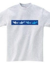 4color shark