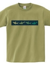 4color shark