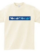 4color shark
