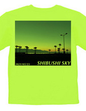 Shibushi's Sky