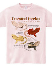 Crested Geckos vol.1 (front print)