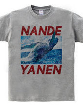 NANDEYANEN