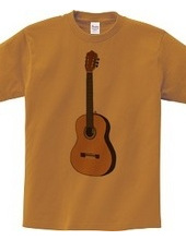 acoustic guitar 