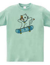 Skateboard Cat