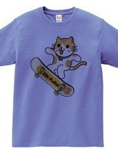 Skateboard Cat 2