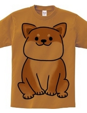 Shiba Wanko