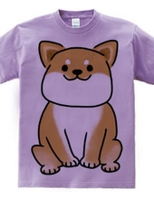 Shiba Wanko