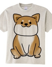 Shiba Wanko