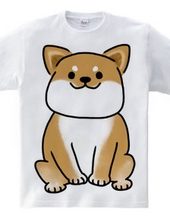 Shiba Wanko