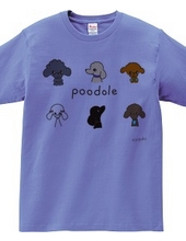 Various poodles! Your face.