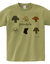 Various poodles! Your face.