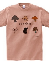 Various poodles! Your face.