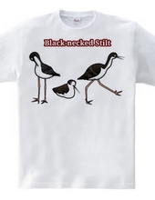 Heartwarming Black necked stilts