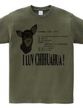 Chihuahua