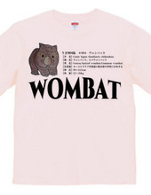 Creature Picture Book Series #004 Wombat
