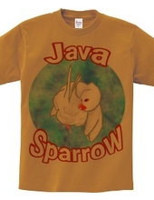 Java Sparrow!