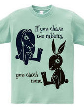 If you chase two rabbits, you catch none.
