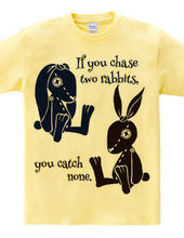 If you chase two rabbits, you catch none.