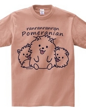 Ranranran Pomeranian