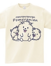 Ranranran Pomeranian