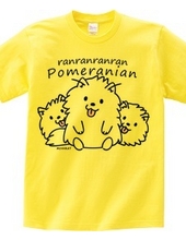 Ranranran Pomeranian