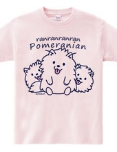 Ranranran Pomeranian