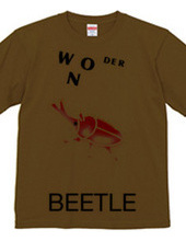 Wonder Beetle