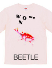 Wonder Beetle