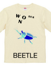 Wonder Beetle Blue
