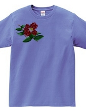 Kanji like this? TSHIRT Camellia Version