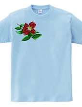 Kanji like this? TSHIRT Camellia Version