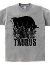 Taurus Zodiac Sign