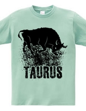 Taurus Zodiac Sign