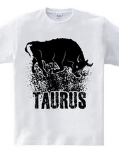 Taurus Zodiac Sign