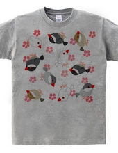 Cherry blossoms and many birds