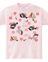 Cherry blossoms and many birds