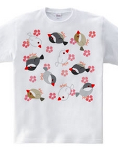 Cherry blossoms and many birds