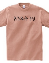 How are you (Amharic)