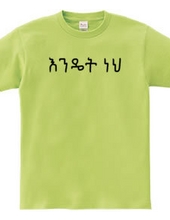 How are you (Amharic)