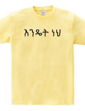 How are you (Amharic)