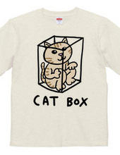Boxed Cat