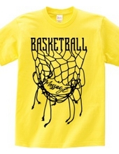 BASKETBALL NET